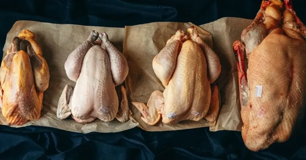 Canard gras à Saint-Macaire